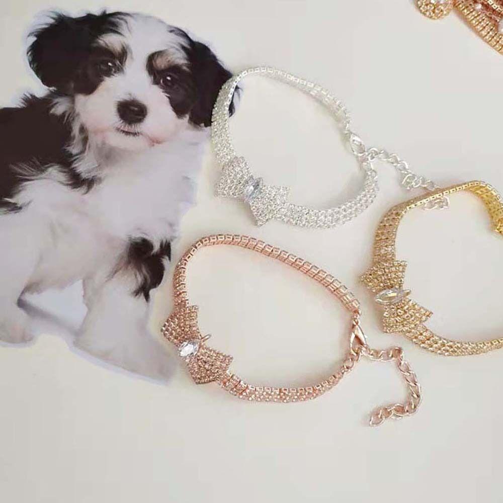 Choker For Cat and Dog Puppy Accessories Dog Chain Pet Supplies Pet Collar Dog Necklace Cat Jewelry