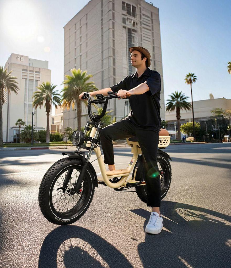 Onesport W77 Electric Bike, 500W Motor, 48V 18Ah Battery, 20*4 Inch Tires, 25km/h Max Speed, 90km Range