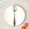 Premium 304 All-Stainless Steel Tea Spoon (14cm) Silver