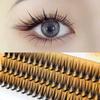 Segmented Individual Cluster Eyelashes 8-15mm L Curl False Eyelashes   Eyelash Extension