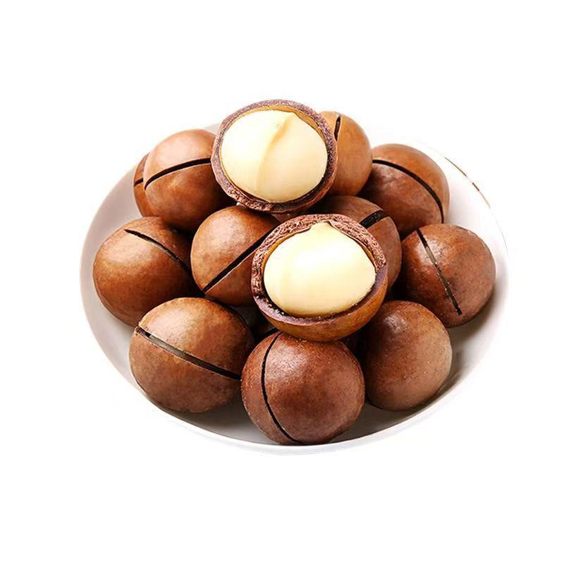 Creamy Macadamia Nuts - Large, Thin-Shell, 500g Snack Pack