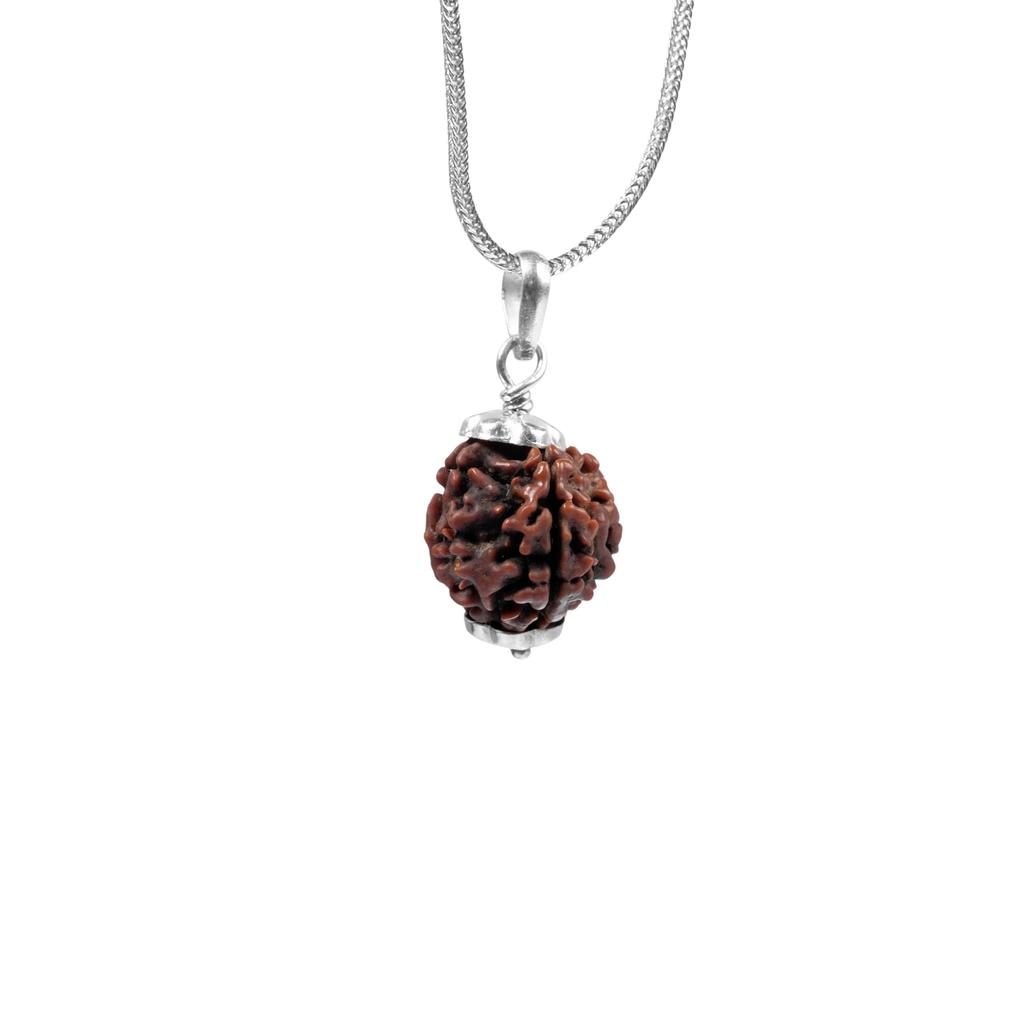 Natural 4 Mukhi Rudraksha 925 Siver Pendant - Nepali Origin | Vedic Bead For Meditation, Energy, Concentration & Clarity | Organic & Lab Certified