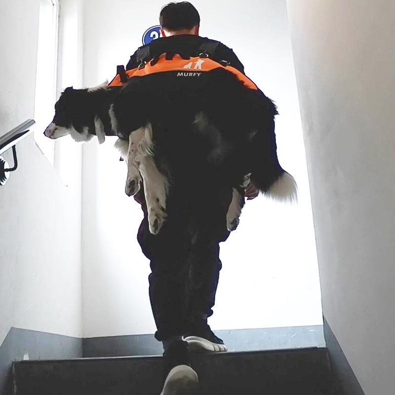 Большой рюкзак для домашних животных, многофункциональная авиационная сумка, плечевой ремень, уличные прогулочные носилки, рюкзак для собак с ограниченными возможностями.