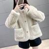 Winter New Gold Mink Plush Environmental Protection Fur Casual Coat Women's Round Neck One Piece