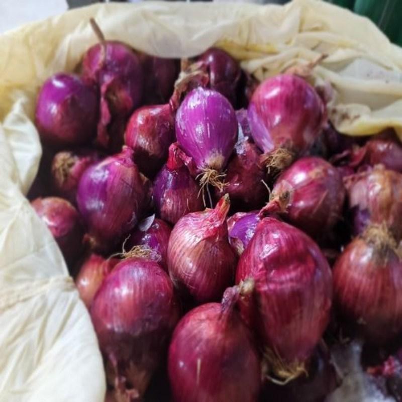 Evergreen Food Muan Purple Red Onion Juice 120 Packs