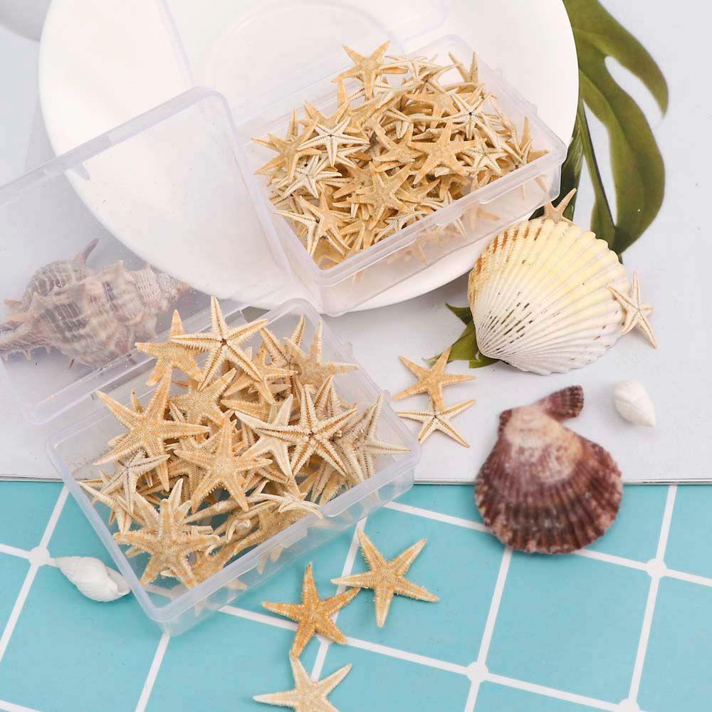 Shells Epoxy Resin for Aquatic Pet Resin Casting Fish Tank Decoration Aquarium Supplies Starfish