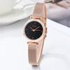 Gedi Women's Minimalist Stainless Steel Mesh Band Waterproof Quartz Watch