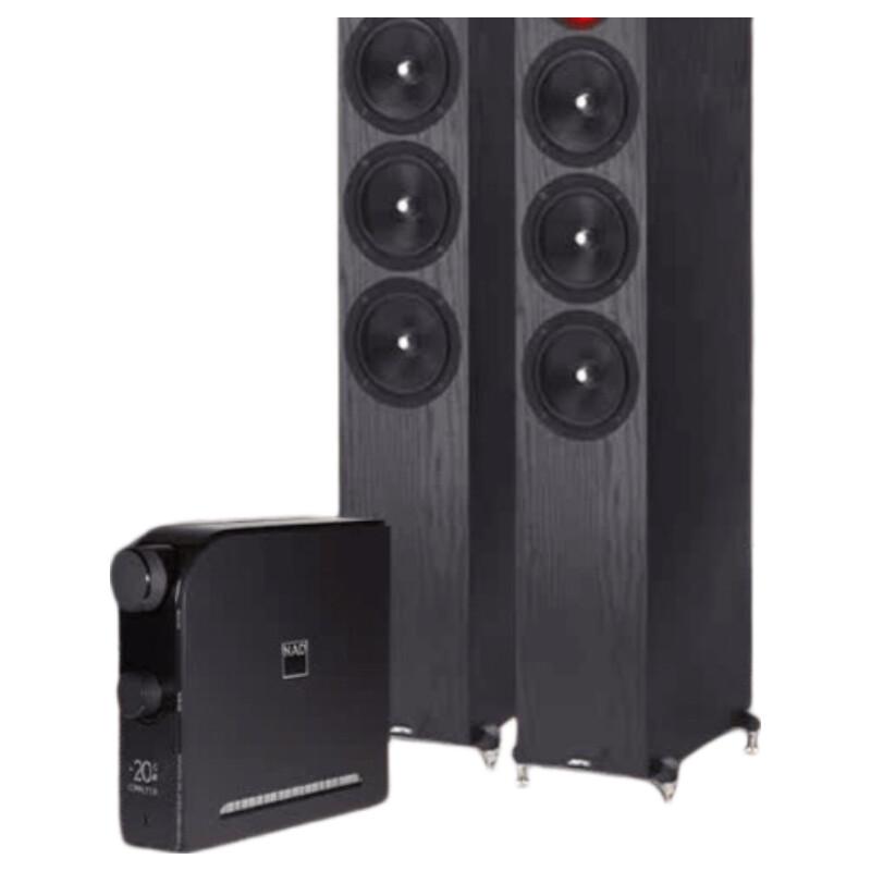 NAD D3045 HIFI Digital Amplifier & Jamo 607 MKII Speaker System (CN version)