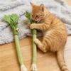 Игрушки-грызунки для кошек в виде сельдерея со звуковым колокольчиком, Игрушка для чистки зубов кошки, Интерактивная самоиграющая палочка-когтеточка с кошачьей мятой, Товары для домашних животных