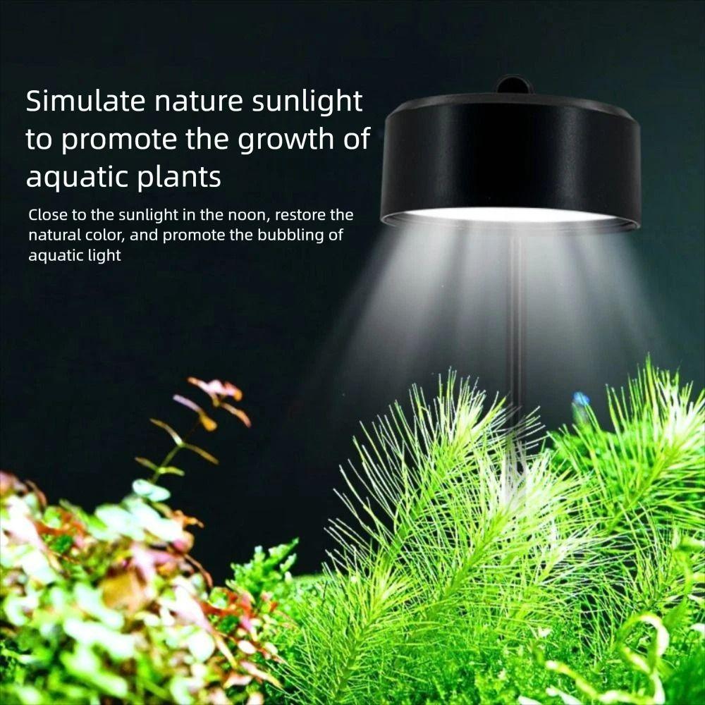 90 Degree Bend Fish Tank Clip Lamp 3 Modes Of Light Color Algae Lamp  Water Grass Growth
