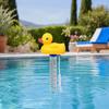Yousheng Swimming Pool Floating Thermometer, Flamingo Turtle Duck Goldfish Shark Water Temperature Gauge, Easy Read Bathtub Hot Tub Temperature
