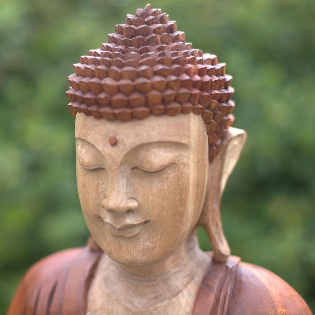Buddha Statue Teaching Hand Carved Suar Wood 40cm
