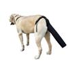 Breathable Dog Tail Protector Splash-proof Protective Case Protective Cover  Licking Prevention