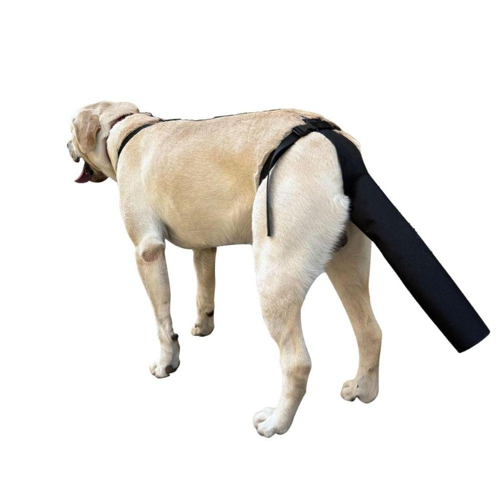Breathable Dog Tail Protector Splash-proof Protective Case Protective Cover Licking Prevention