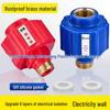 Red & Blue Brass Electric Water Heater with Anti-Leakage and Isolation Wall Accessories
