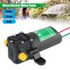 Сельскохозяйственный электрический водяной насос, прочный 3,5 л/мин, микромембранный распылитель воды высокого давления, автомойка, аксессуары для опрыскивателя DC12V