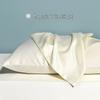 Summer Ice Silk Pillowcase Set - Two 48x74cm Universal Single Pillowcases and Core Set
