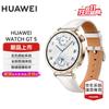 Huawei Смарт-часы WATCH GT 5 (Китайская версия)