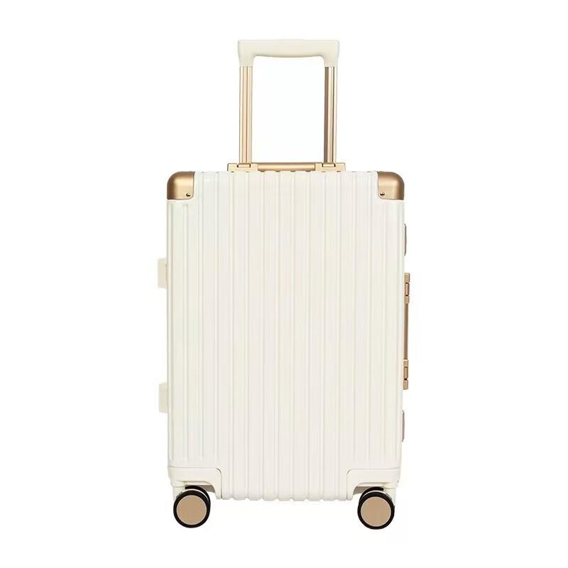 Rhino Walker 810 Premium Aluminum Frame Suitcase