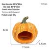 Hermit Crab Pumpkin Hideaway: Halloween Fish Tank Decor with Climbing and Hiding Spots.