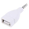 2025 Адаптер-конвертер USB 2.0 Female на 3,5 мм Male AUX Аудио Автомобильный Штекер Разъем белый