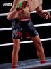 Боевые и тренировочные шорты для ММА, трансграничные: UFC, Бразильское джиу-джитсу, Санда, Штаны для фитнеса