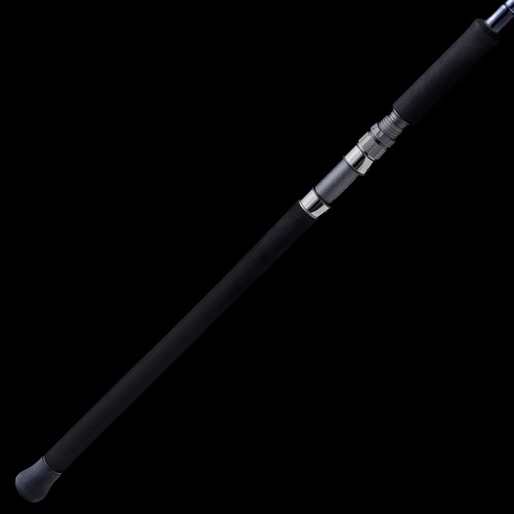 Удилище fishing rod Tenryu POWER MASTER PM1002S-HH 3.05m[10'0"]ft