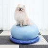 Dingdongpet Pet Tantan Balance Гимнастический мяч, синий, 1 шт.