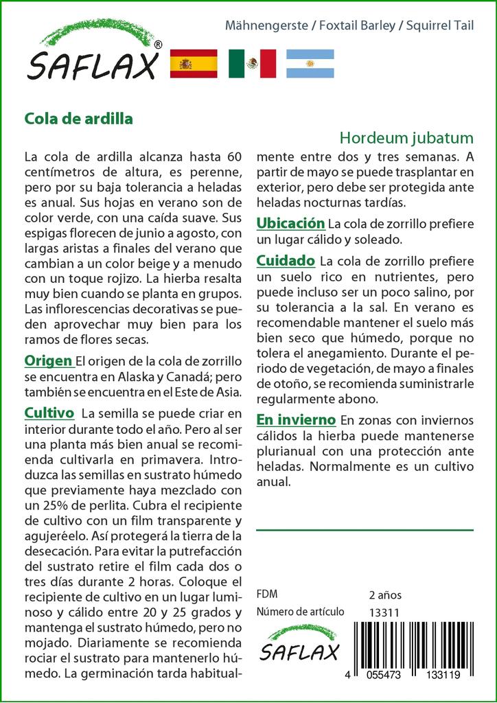 SAFLAX Лисохвост Ячмень / Беличий Хвост - 70 семян - Hordeum jubatum