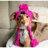 Новый головной убор для питомца осень-зима помпон теплый и антифриз ветрозащитный пушистый шар вязаный французское ведро большая и маленькая собака вязаная шапка