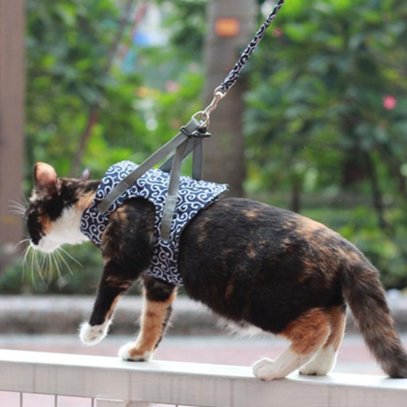 Adjustable Large Cats Vest Harness for Small Cats No Pull Design with Leash Breathable Vest Bright Color