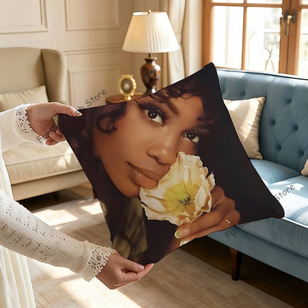 Singer SSZA Pillow Case Plush Fabric Soft Pillowcase Double Sided Print Sofa Cushion Cover Throw
