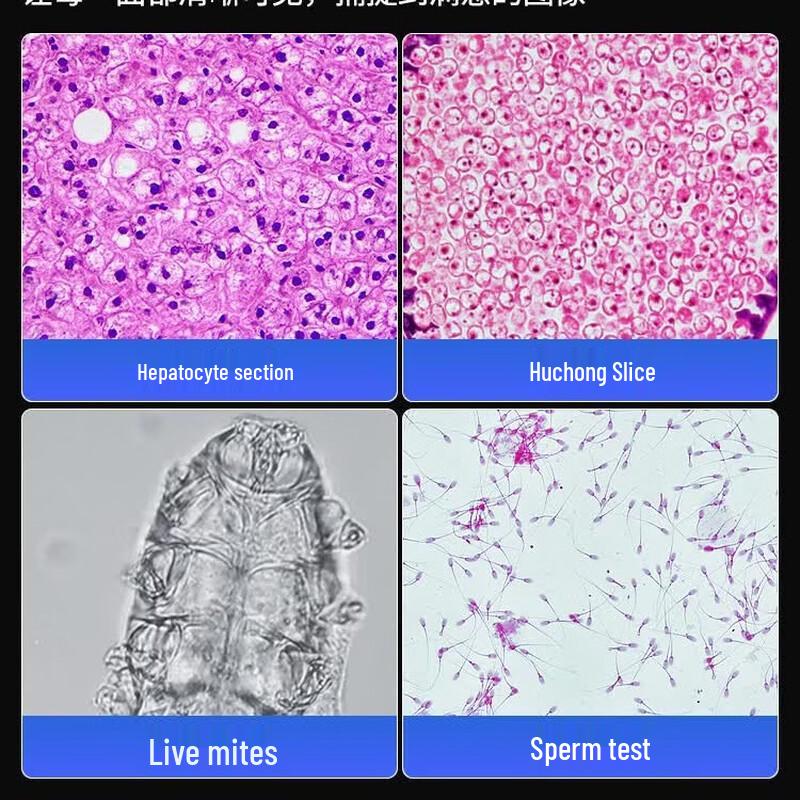 AOSVI 4K Research Biological Microscope