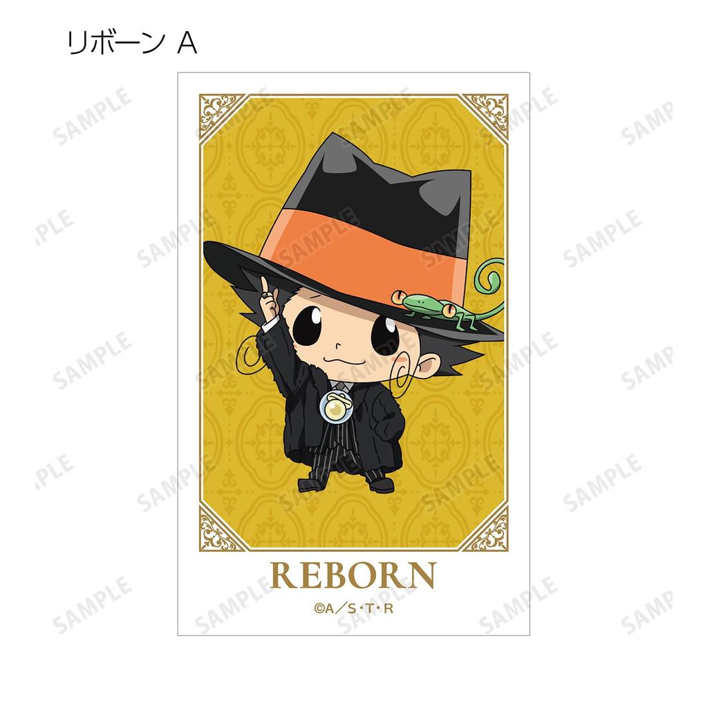 Katekyo Hitman Reborn Оригинальная меховая шуба x Костюм Вер. Коробка с 20 торговыми иллюстрационными карточками