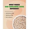 True Elements Sunflower Seeds 500g - Raw Sunflower Seeds for Eating | Diet Food | Healthy Snack | Raw Seeds | Weight Management