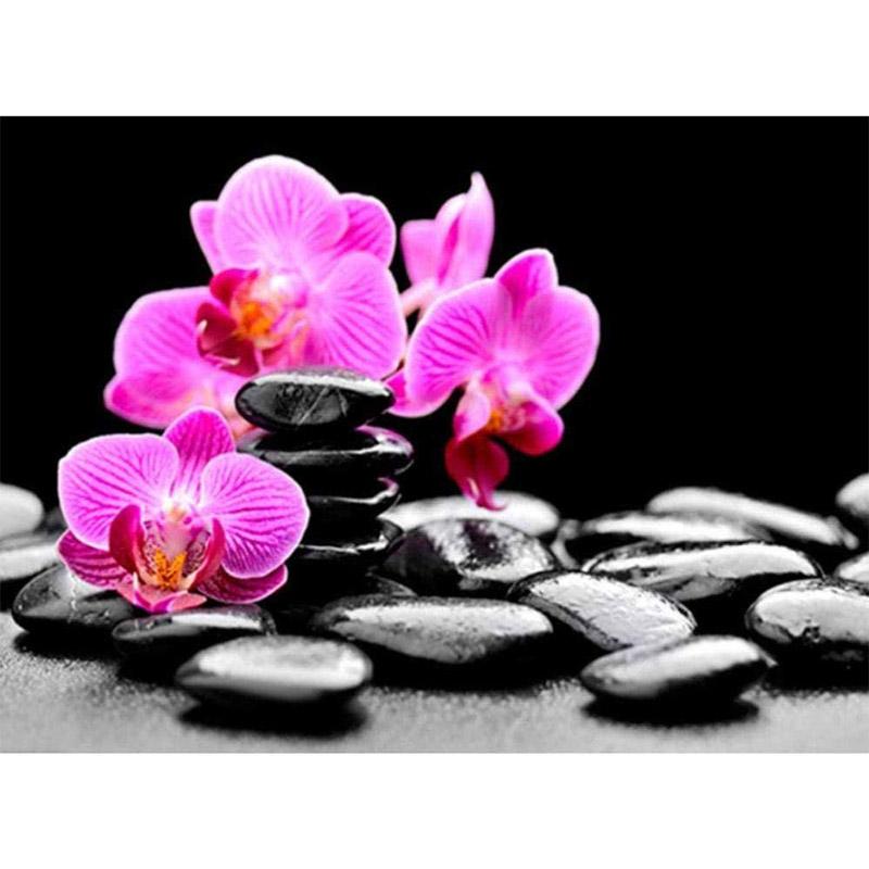 Цветок DIY 5D алмазная живопись полный круглый дрель Стразы Мозаика Орхидея Пейзаж Алмазная вышивка крестиком домашний декор