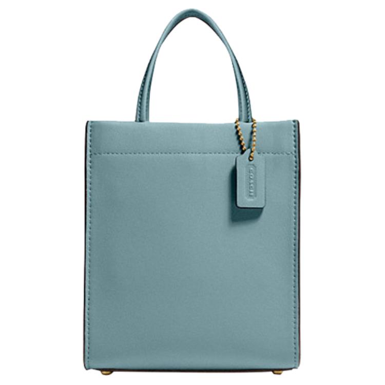 Coach Cashin 14 Leather Tote Bag Women Tote Mist-Blue Solid-Color Morandi-Color C4828-B4SG