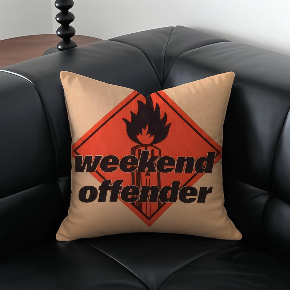 Подушка-чехол для дивана 'WWeekend OOffender', наволочка, защита от пылевых клещей, скрытая молния, шелковистый плюш