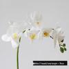 Elegant 7-Head Phalaenopsis Orchid Faux Flower in White and Pink for Living Room or Dining Table Decor