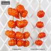 Farmhouse Veggie & Fruit Skewers with Corn, Chili, Garlic, and Peanuts - Perfect for Restaurant Decor