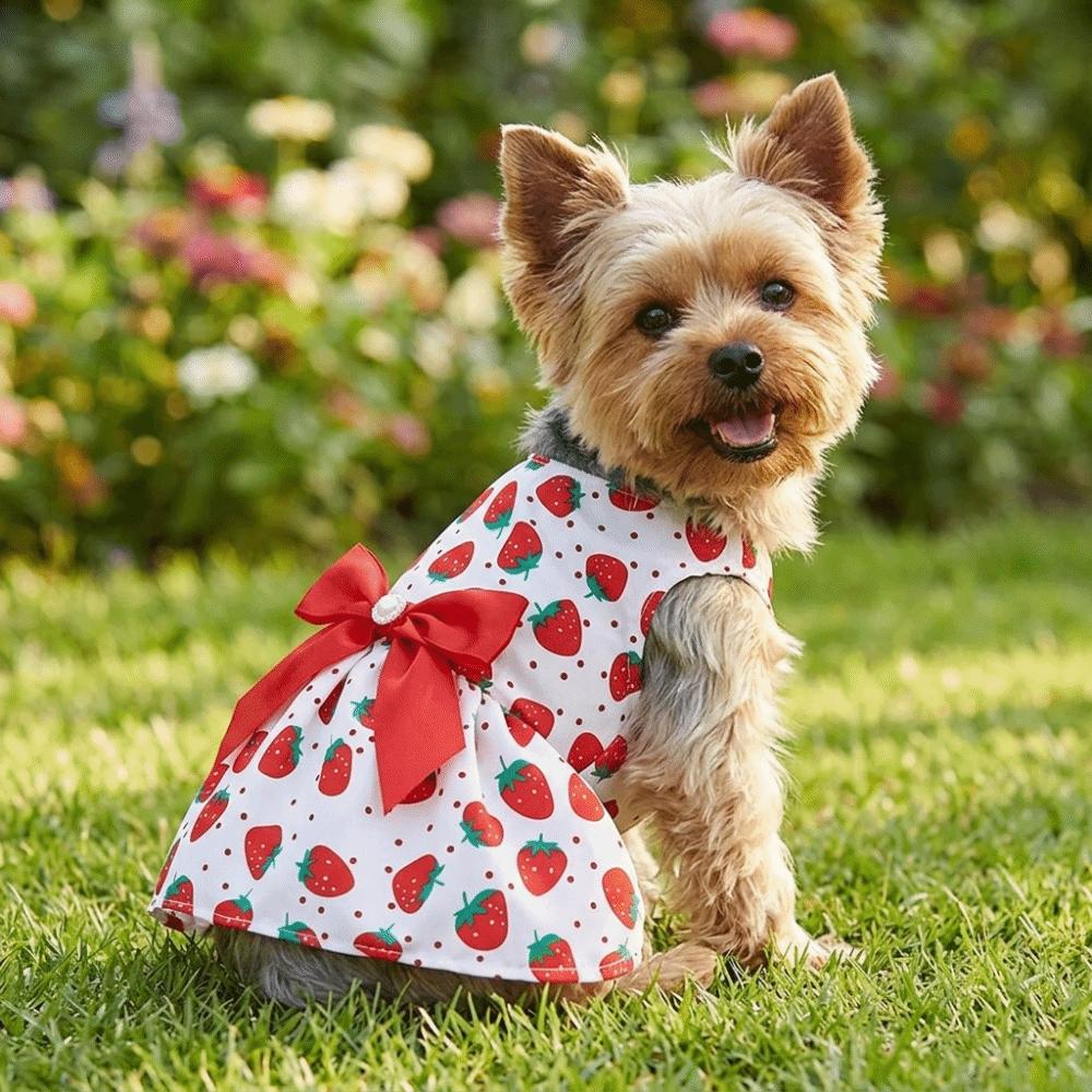 Thin Pet Skirt Lightweight Cat Apparel Skin-friendly Dog Dress Daily Wear