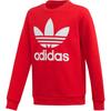 adidas Свитшоты Originals для начальной школы С круглым вырезом Средняя посадка ED7798