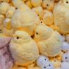 Игрушки ручной работы Chick Taba, ультрамягкие игрушки для снятия стресса ( Курица )
