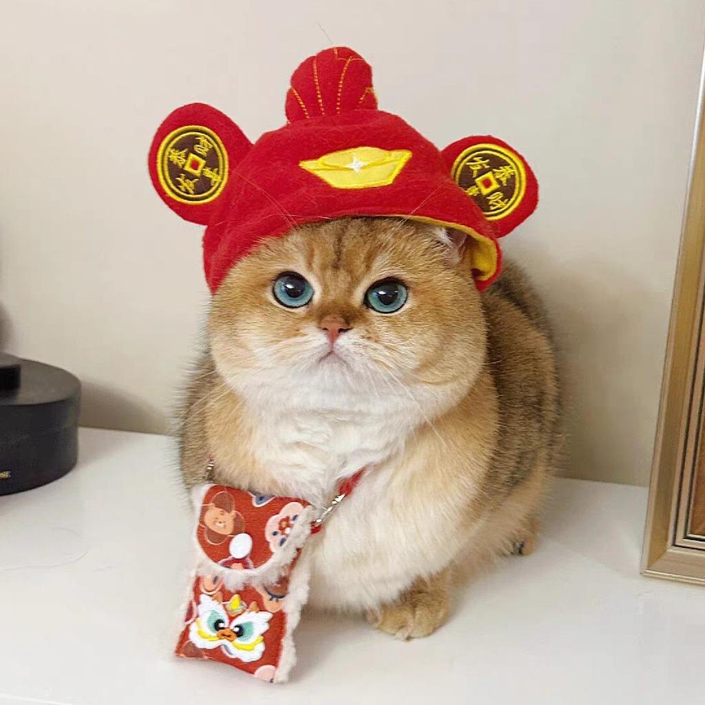 Украшение для питомца головной убор плюшевый щенок собака кошка милее чем медведь фото головной убор смешной