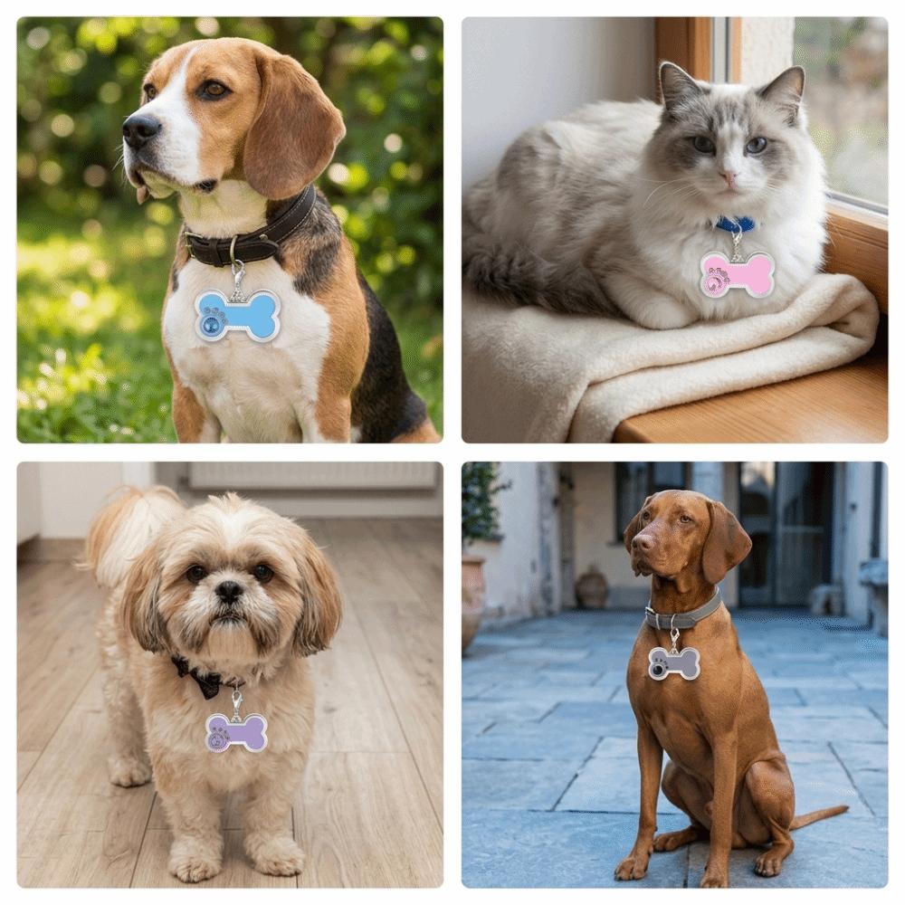 Paw Print Pattern Dog Name Tag Bone Shape Pet Hanging Pendant Pet ID Tag Pet Ornament Decoration