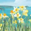 Claire Henley Coastal Spring Stretched Canvas