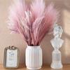 1 шт. Цветы дрейда, декор из пампасной травы, пушистый помпас, наполнитель для вазы из пампасной травы, свадебный декор в стиле бохо, цветы для домашнего стола, деревенский фермерский дом