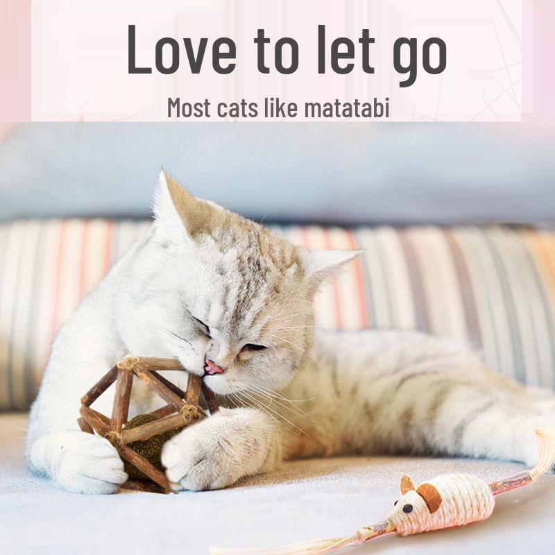 Catnip Matatabi Ball Teaser Toy - Large Teething Bell Ball for Cats.
