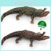ПВХ Модель Крокодила Для Детей Образовательная Коллекционная Игрушка Для Демонстрации в Классе