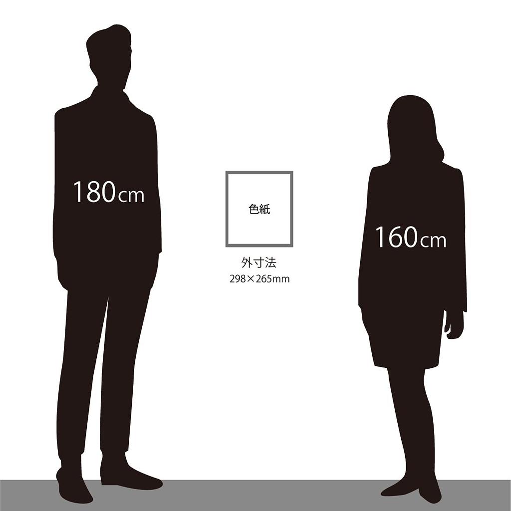 Рамка Дайгаку Сикиси 8 x 9 дюймов Белая с подставкой Акриловая BC-300 с УФ-защитой